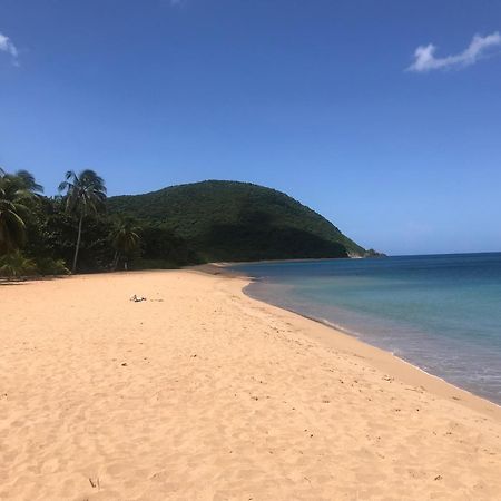 Villa Coco Caraibes ديساي المظهر الخارجي الصورة