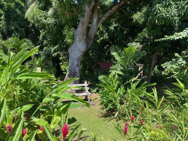 Villa Coco Caraibes ديساي المظهر الخارجي الصورة