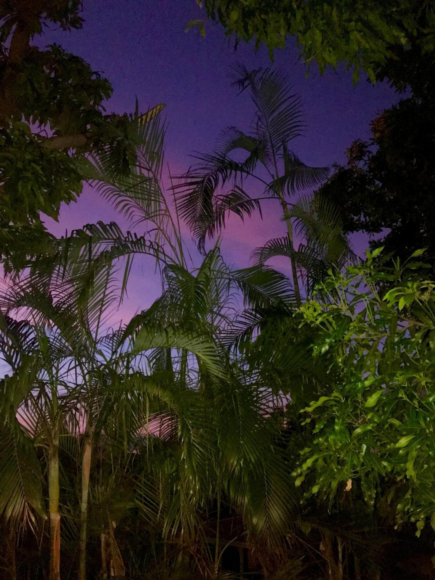 Villa Coco Caraibes ديساي المظهر الخارجي الصورة