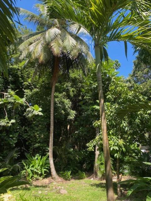 Villa Coco Caraibes ديساي المظهر الخارجي الصورة