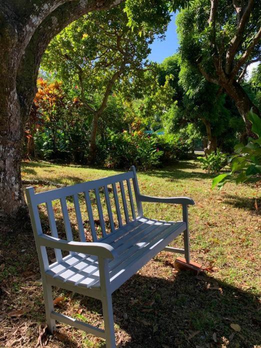 Villa Coco Caraibes ديساي المظهر الخارجي الصورة