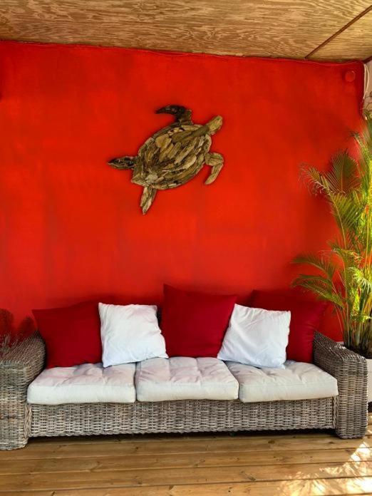 Villa Coco Caraibes ديساي المظهر الخارجي الصورة